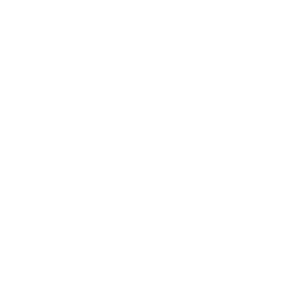 Todd Allyn Media logo